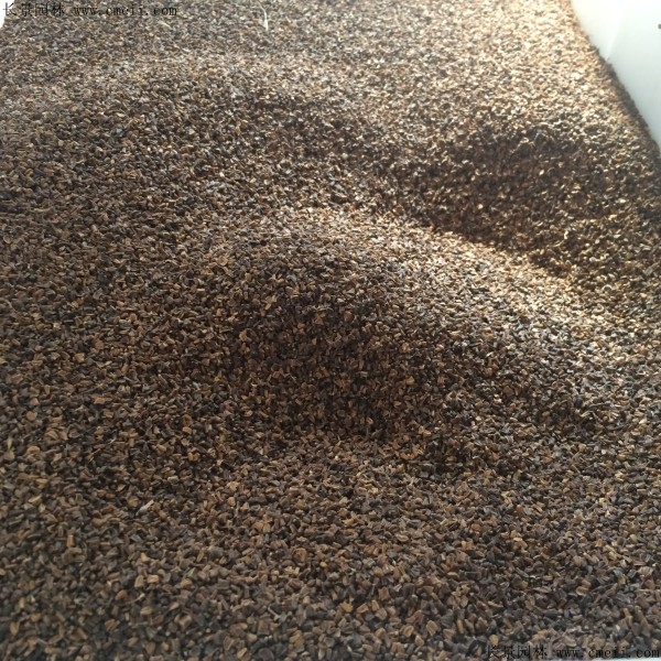 艾草種子圖片 艾草種子圖片