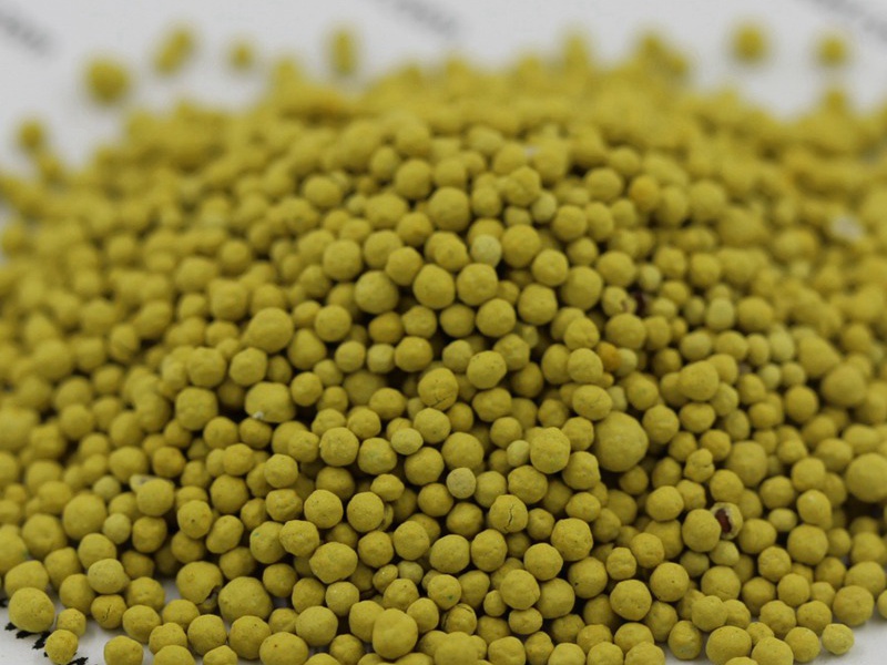 包衣白三葉種子 包衣白三葉種子